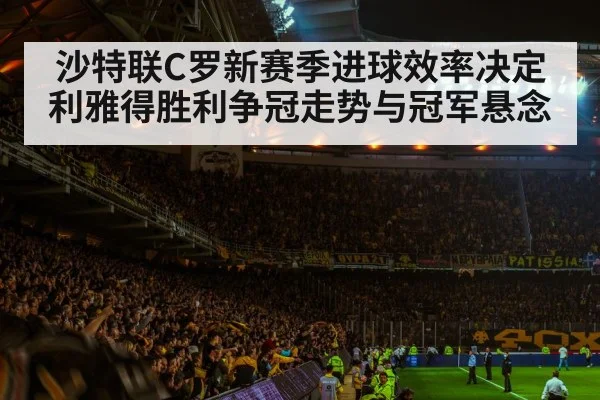 football stadium night crowd